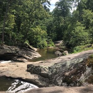 Meet your Posher, Hollins